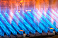 Elvanfoot gas fired boilers